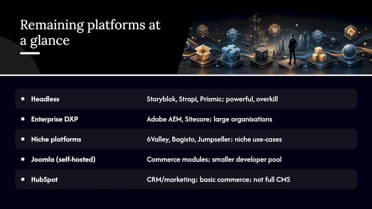 The remaining platforms at a glance — overview diagram