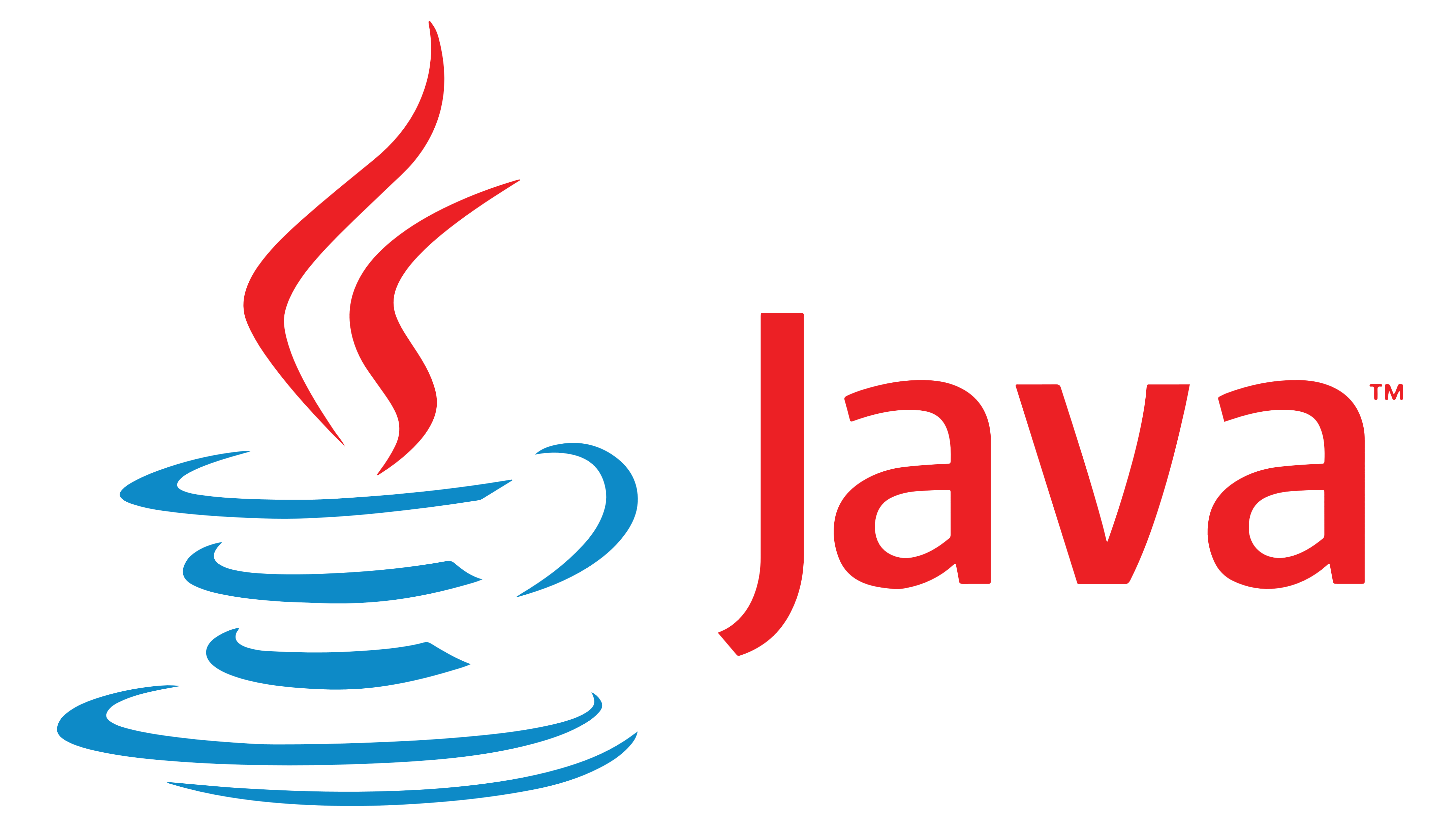 java website development