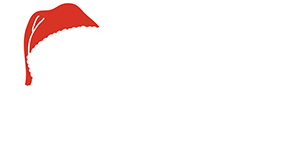 Digital Marketing Agency